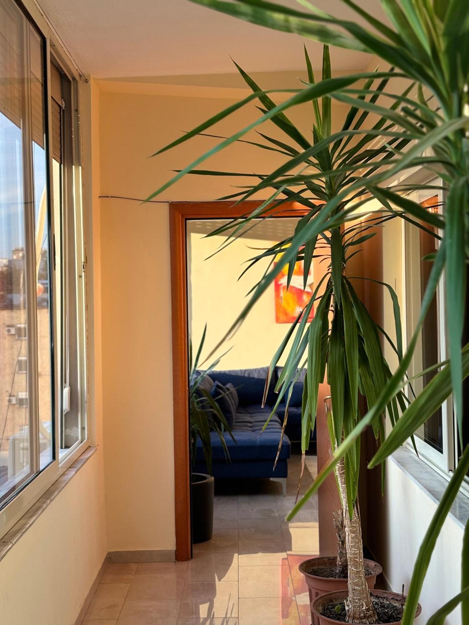 Tam 2Bdr Center Taiwan Apartment ティラナ エクステリア 写真